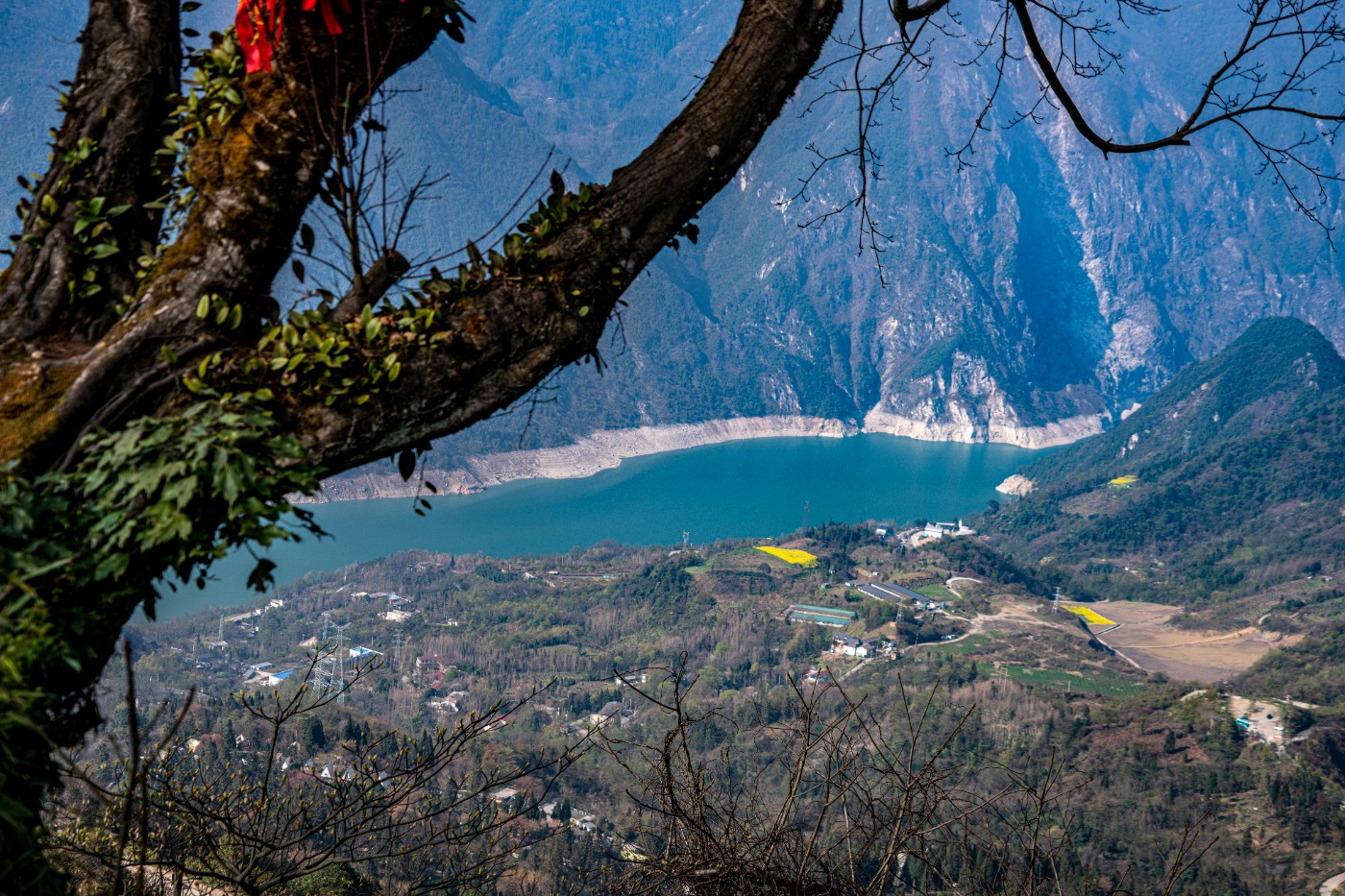 DSC09919 ����.jpg