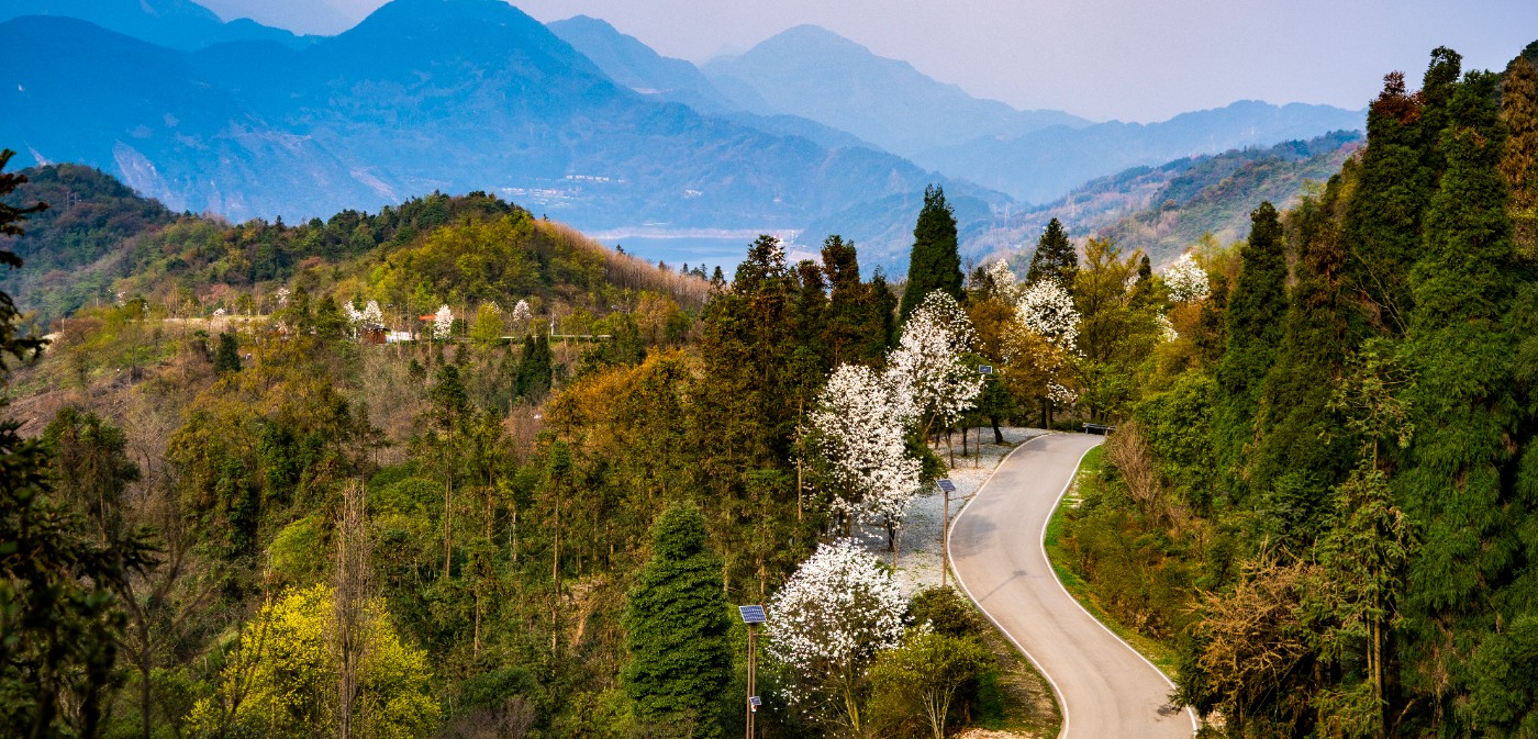 DSC09967 ����.jpg