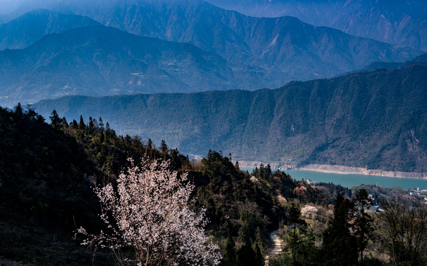 DSC09882 ����.jpg