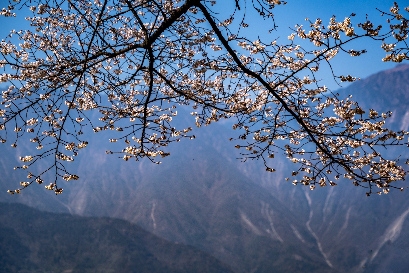 DSC09800 ����.jpg