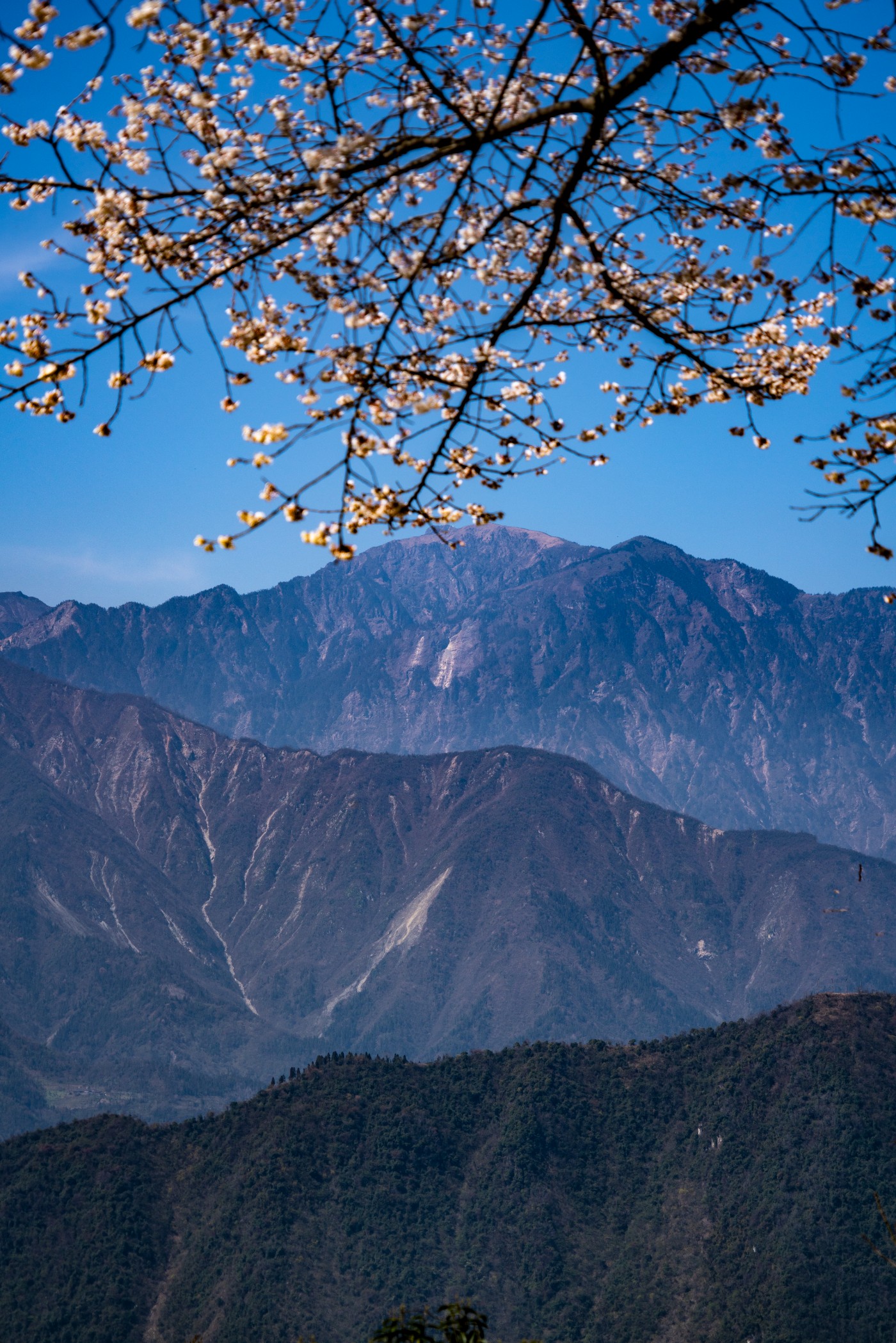 DSC09802 ����.jpg