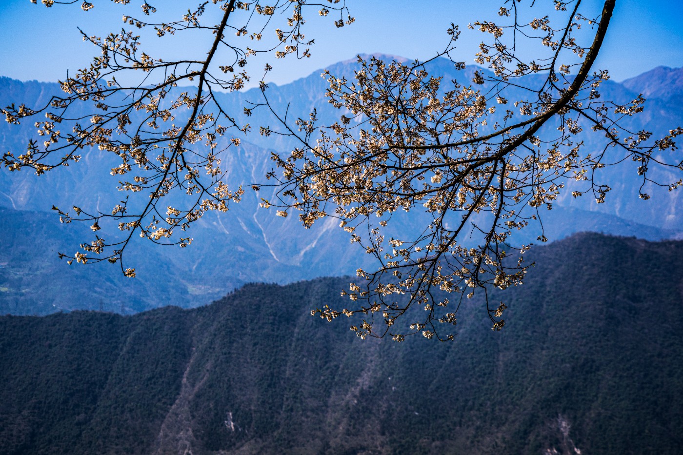 DSC09818 ����.jpg