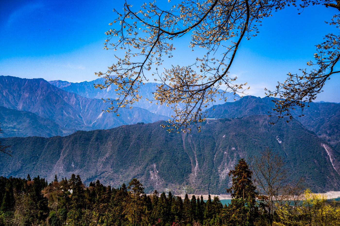 DSC09816 ����.jpg