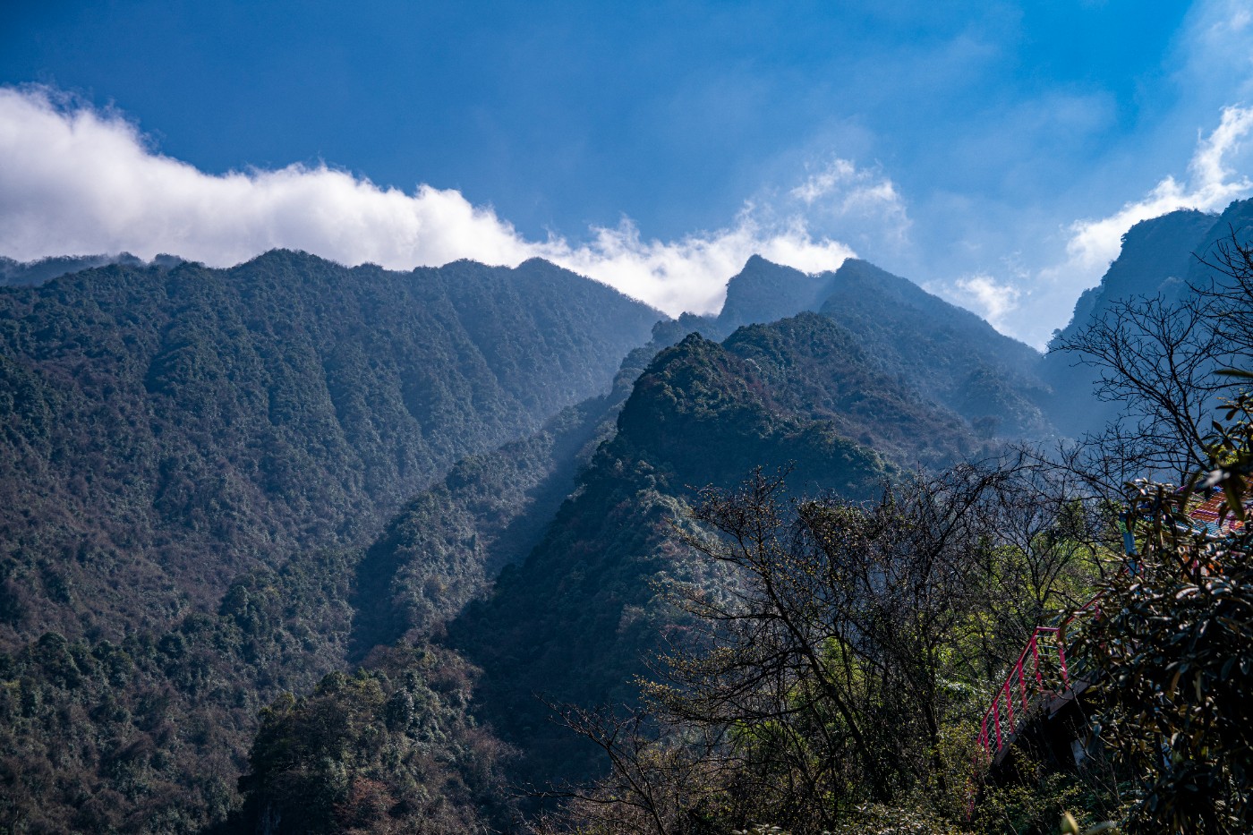 DSC09830 ����.jpg