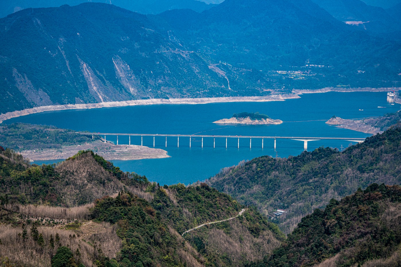 DSC09831 ����.jpg