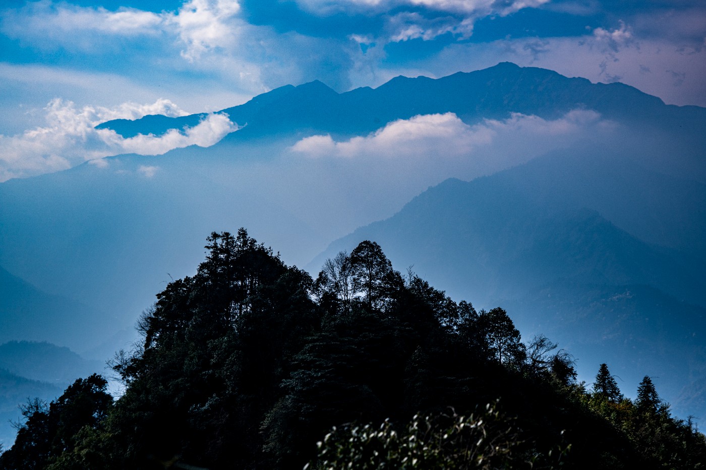 DSC09877 ����.jpg