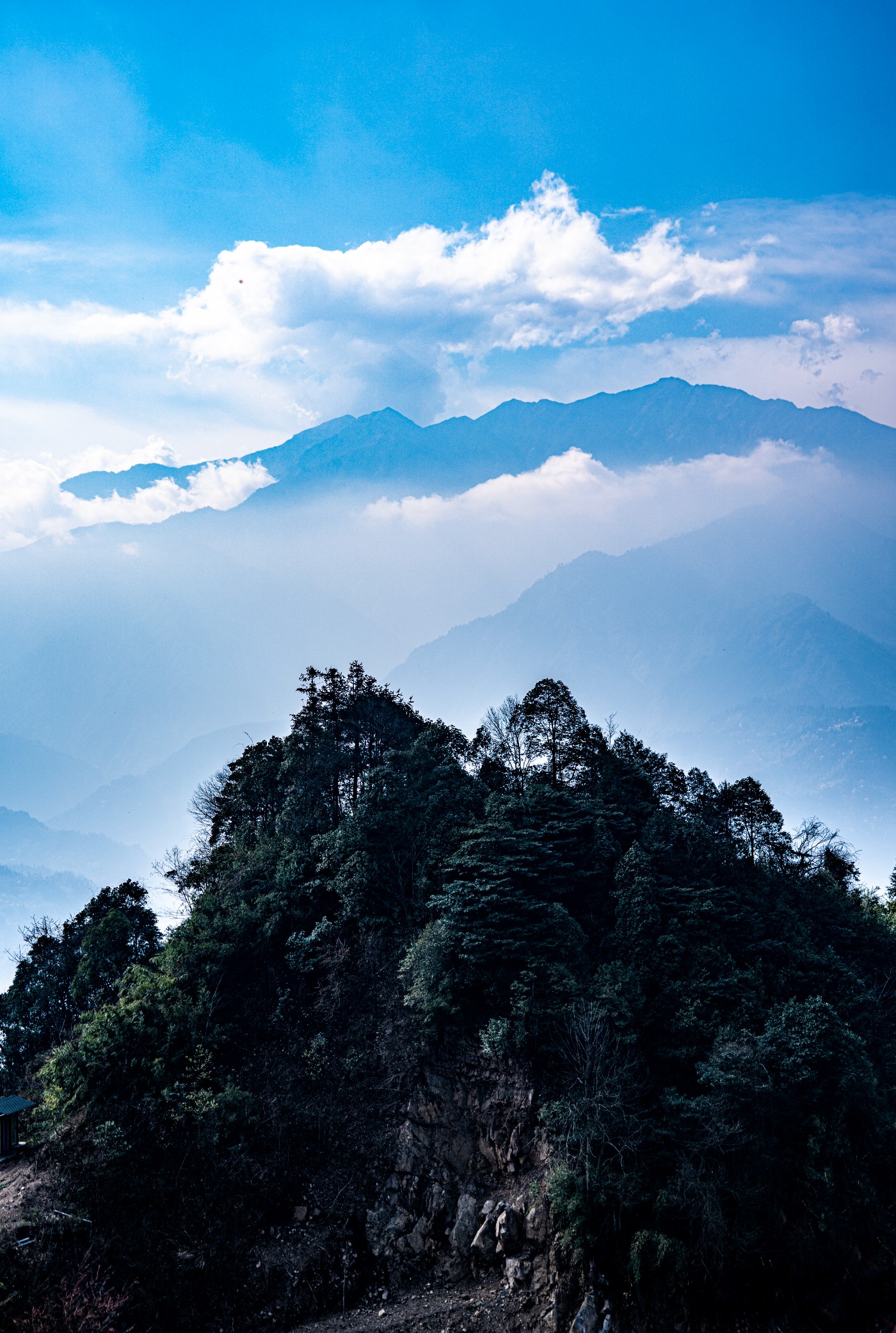 DSC09881 ����.jpg