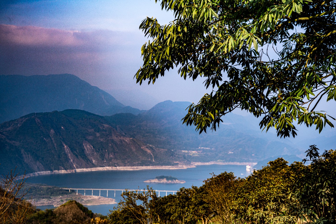 DSC09924 ����.jpg