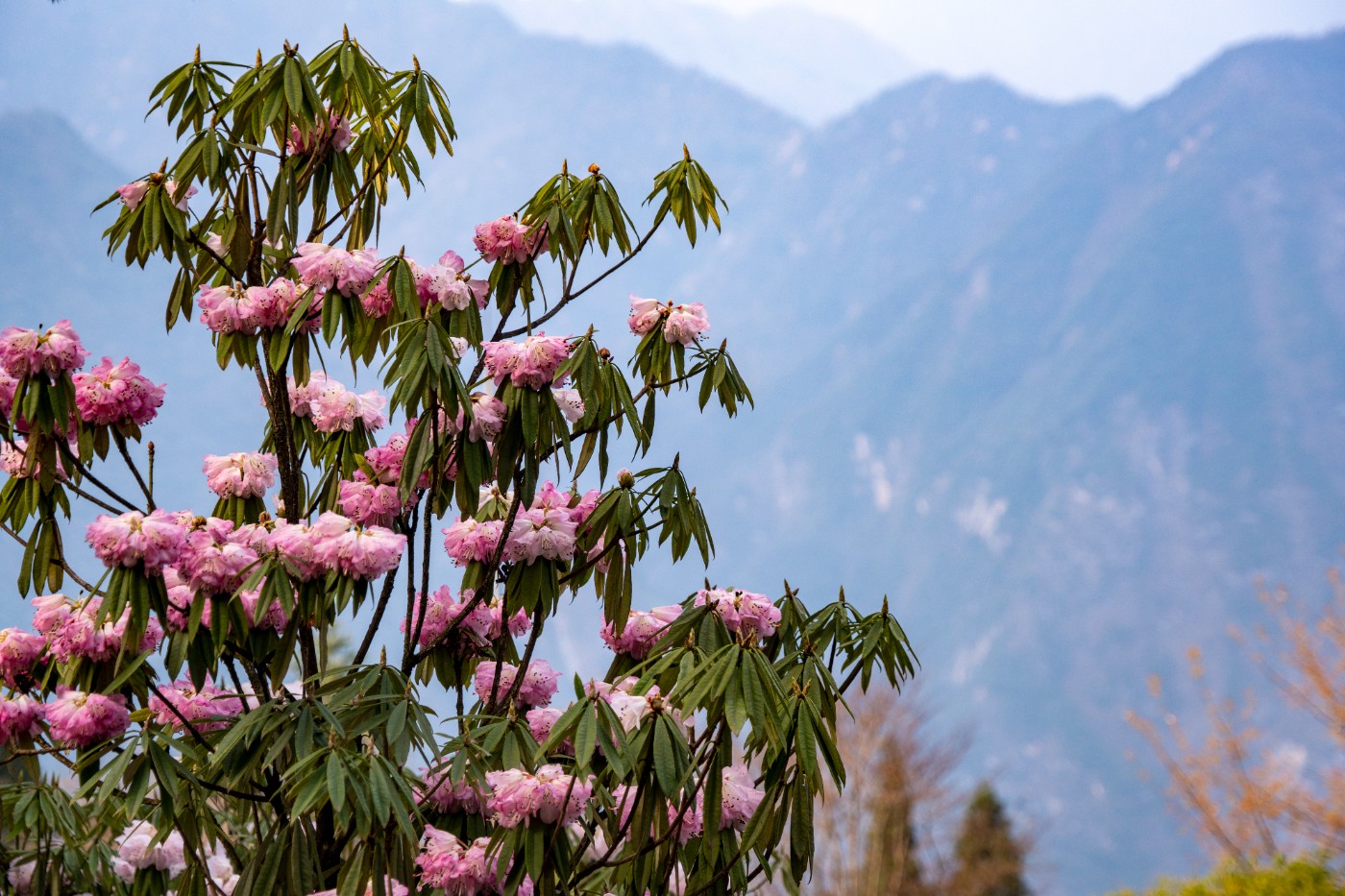 DSC09954 ����.jpg