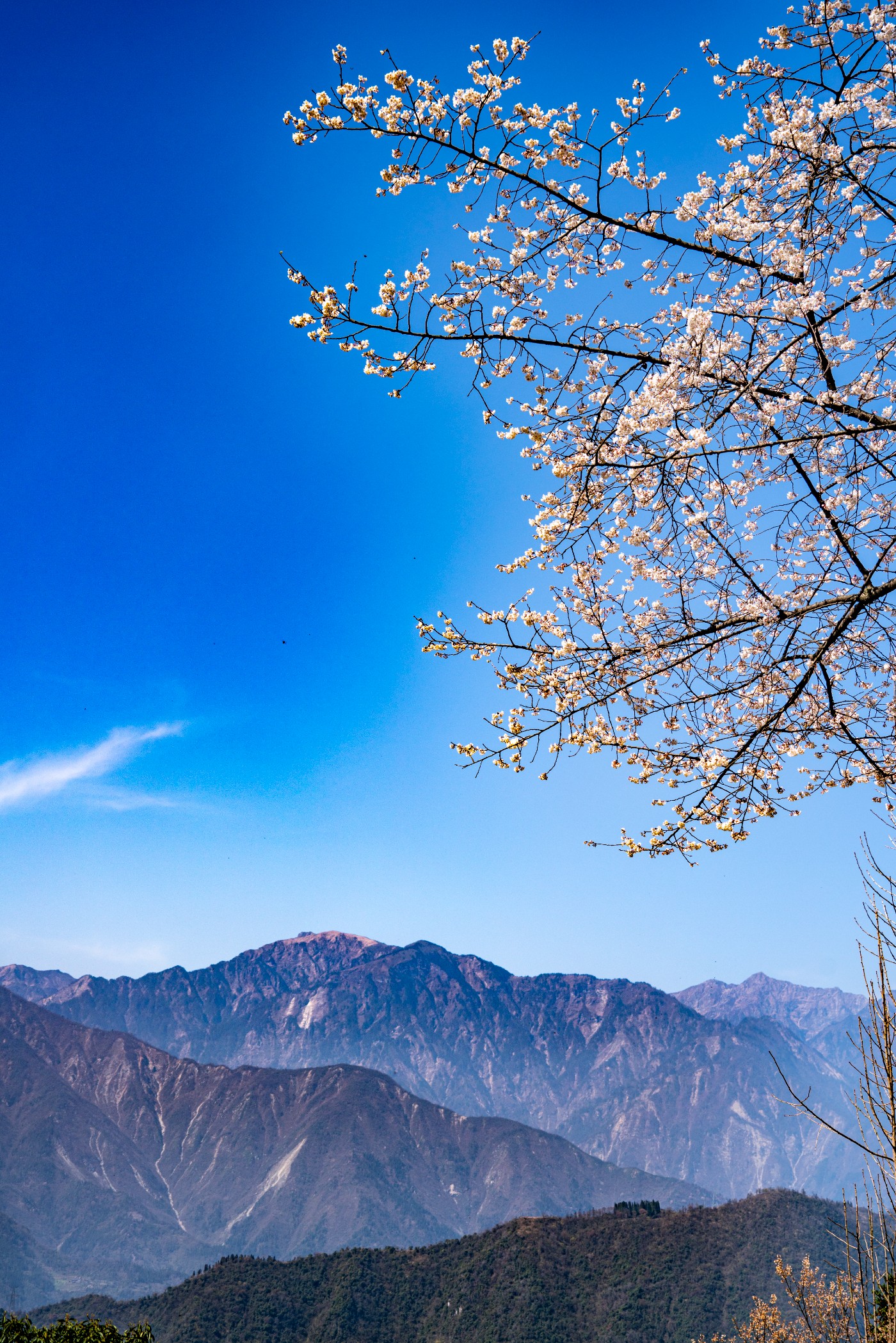 DSC09806 ����.jpg