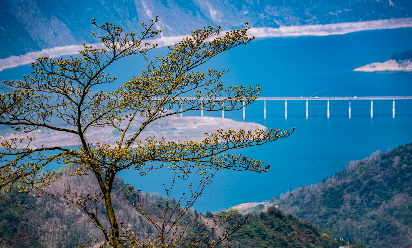 DSC09863 ����.jpg