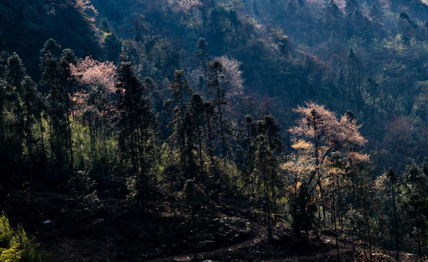 DSC09929 ����.jpg