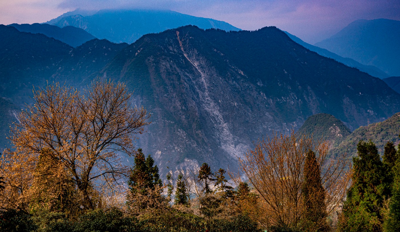 DSC09974 ����.jpg