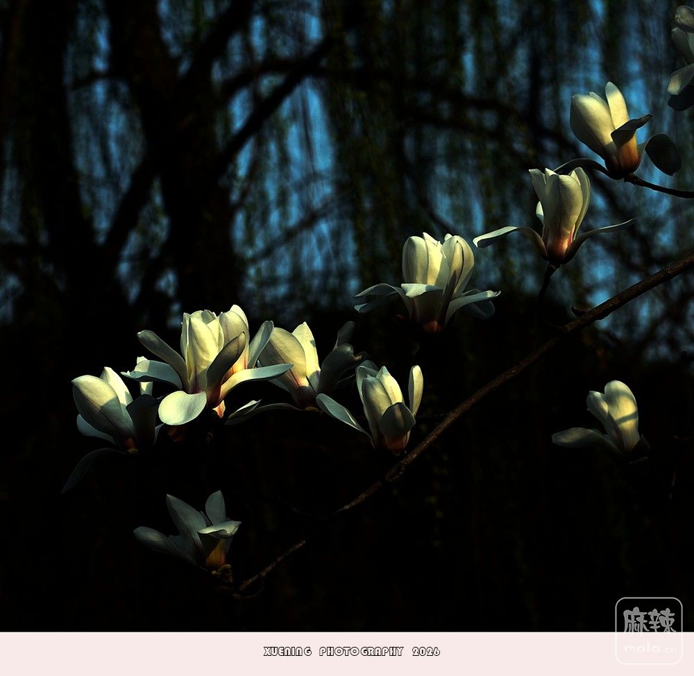 _DSC3978 ����.jpg