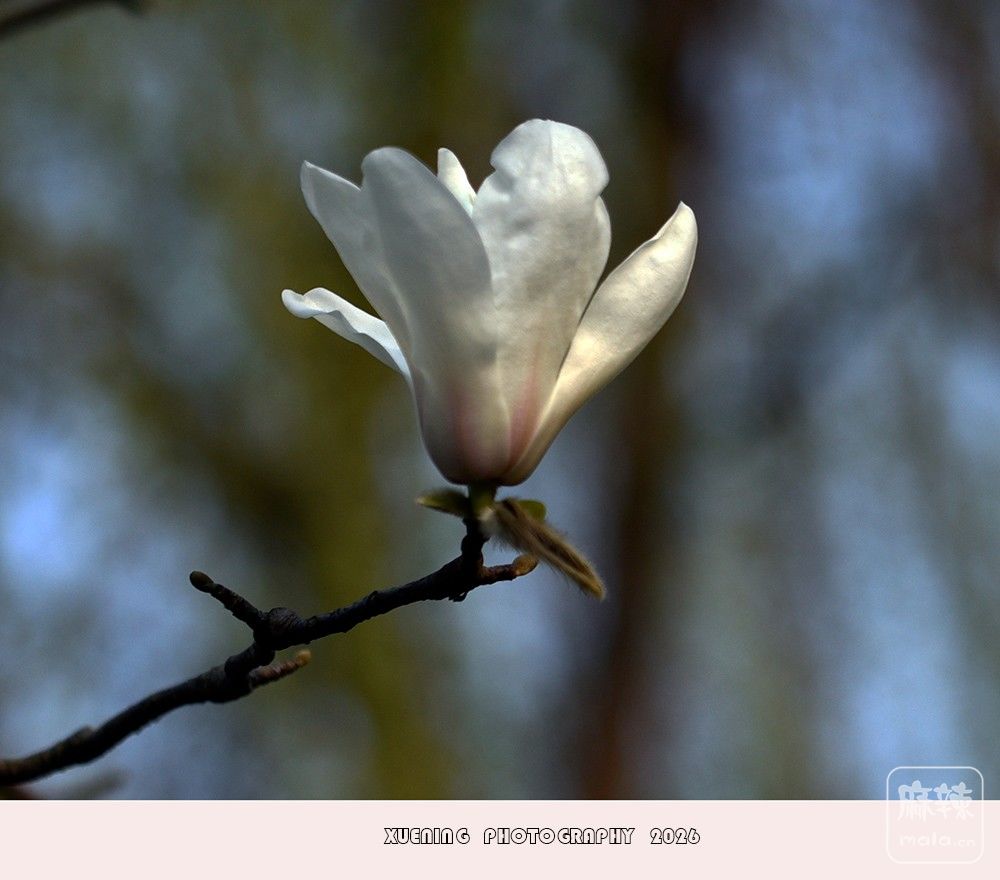 _DSC4048 ����.jpg