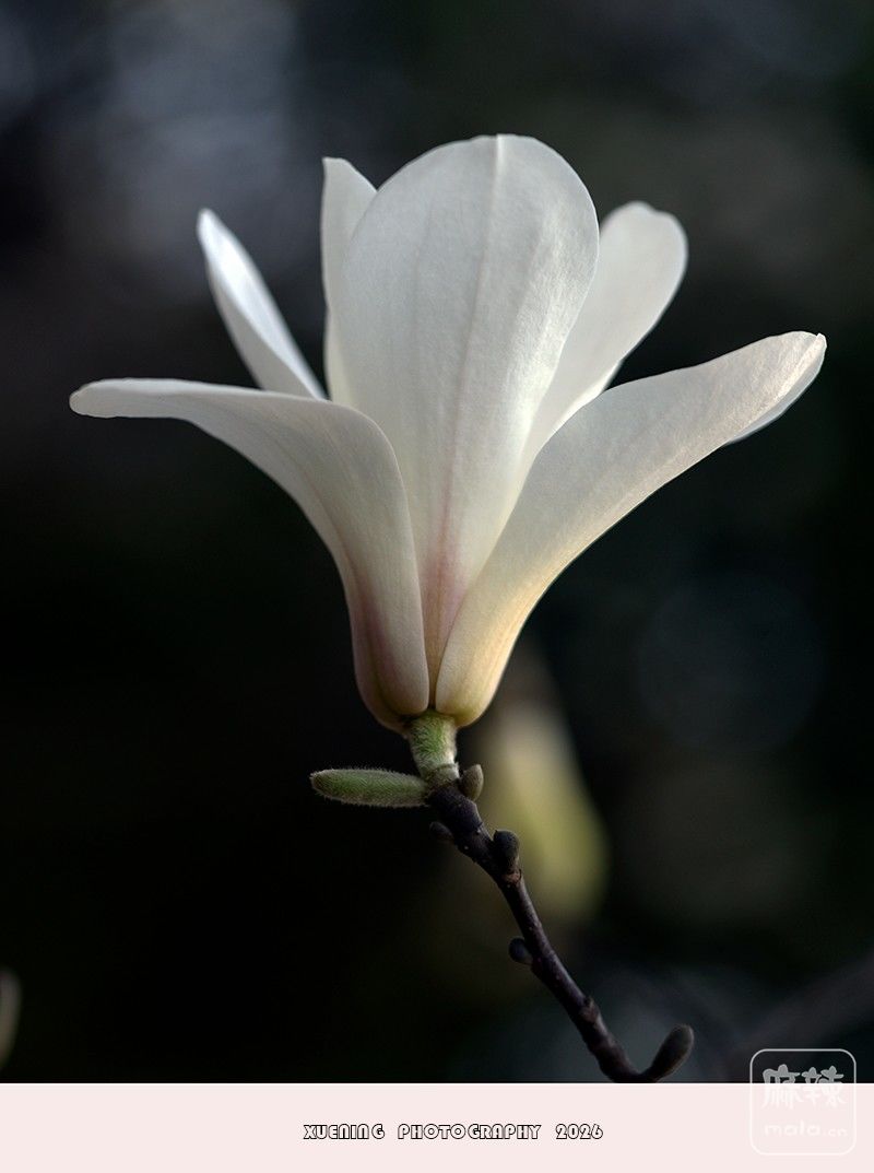 _DSC3997 ����.jpg