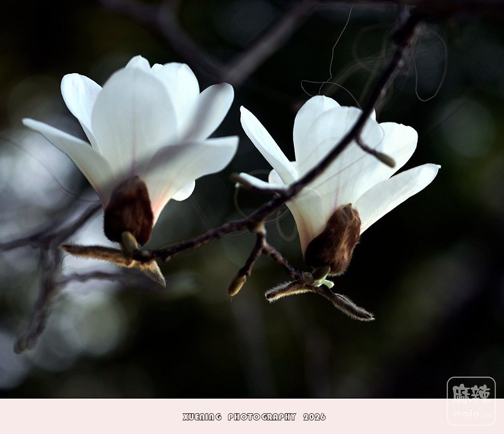 _DSC4000 ����.jpg