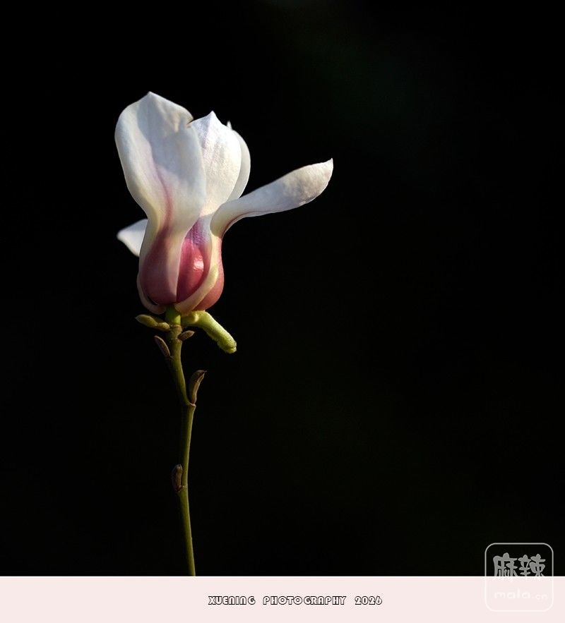 _DSC4078 ����.jpg