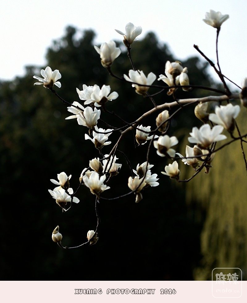 _DSC4014 ����.jpg