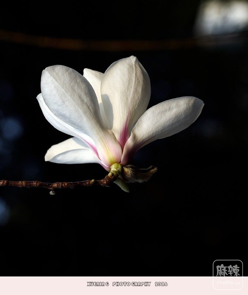 _DSC4024 ����.jpg