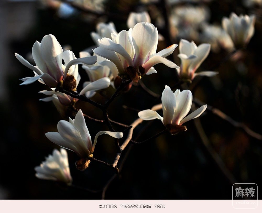 _DSC3976 ����.jpg