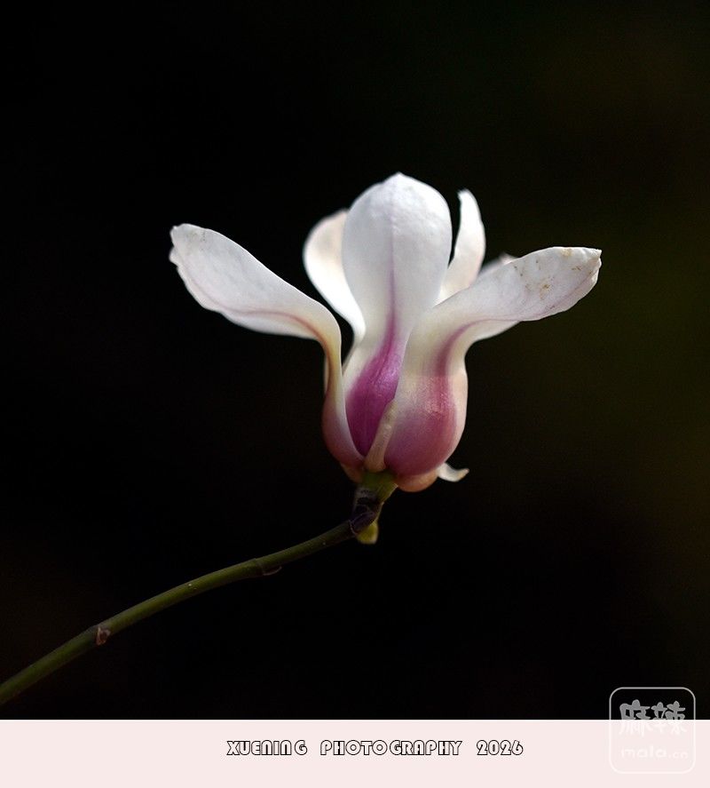 _DSC4077 ����.jpg