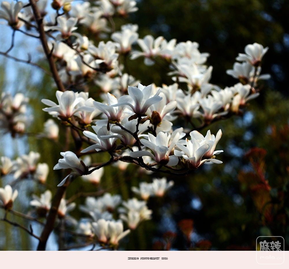 _DSC4051 ����.jpg