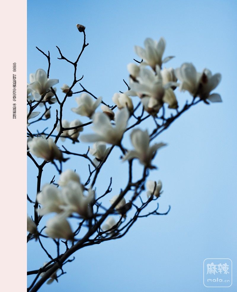 _DSC4108 ����.jpg