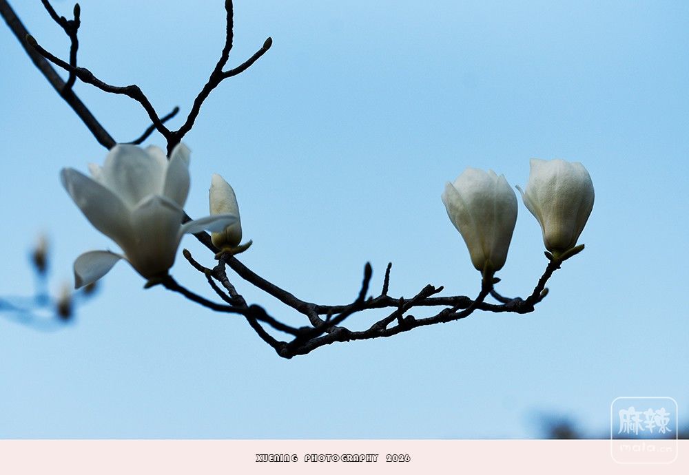 _DSC4111 ����.jpg