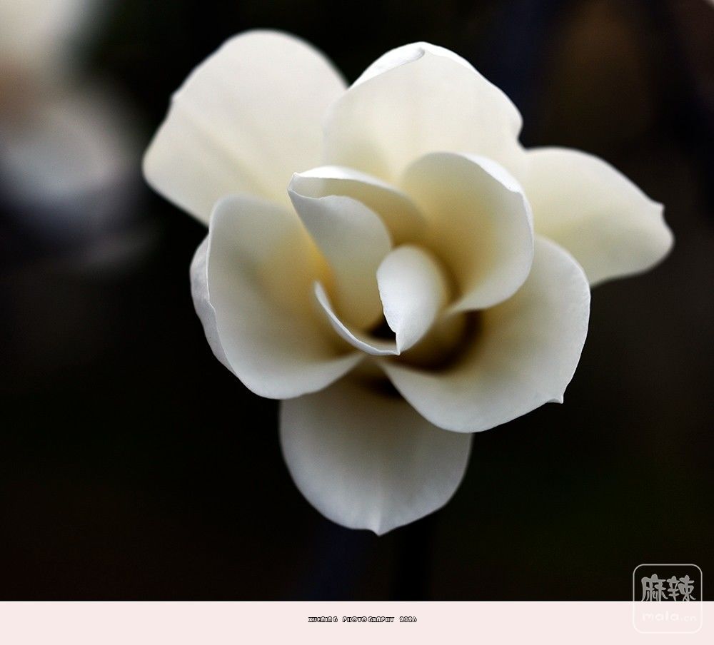 _DSC3982 ����.jpg