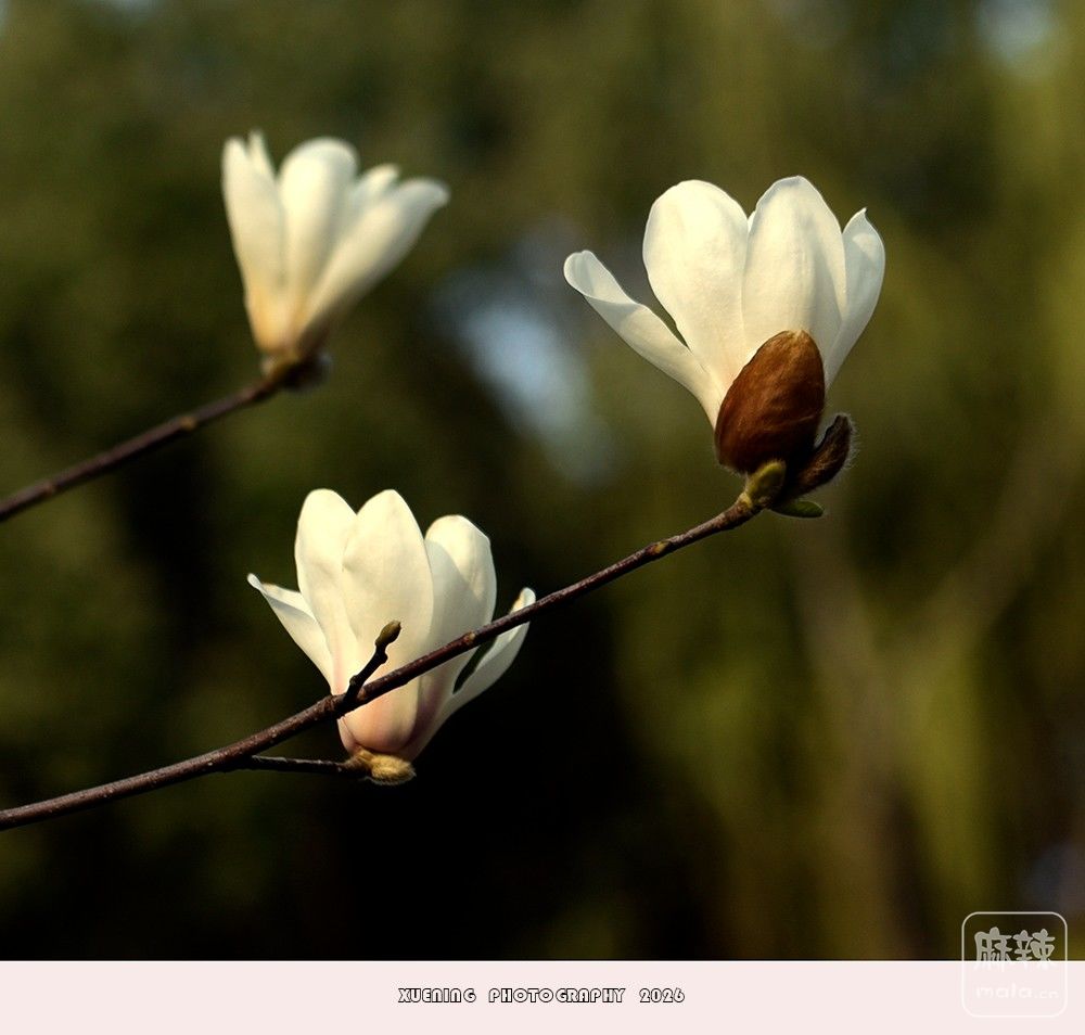 _DSC3975 ����.jpg