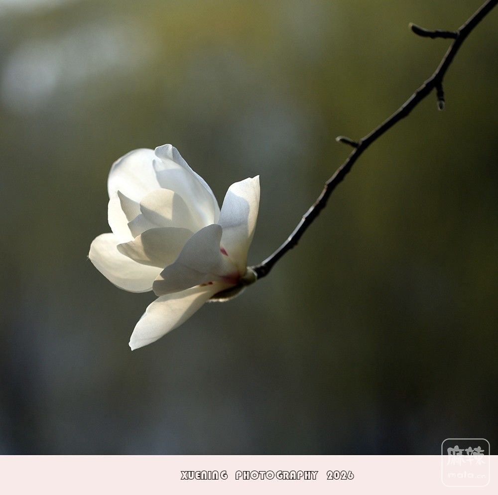 _DSC4040 ����.jpg