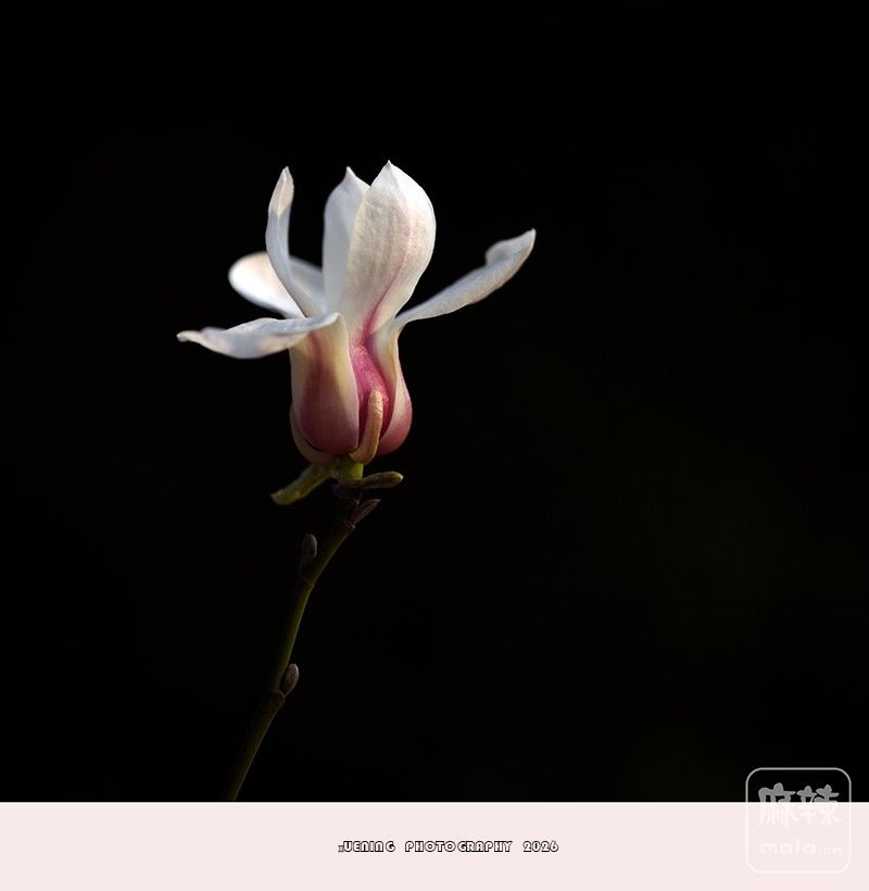 _DSC4075 ����.jpg