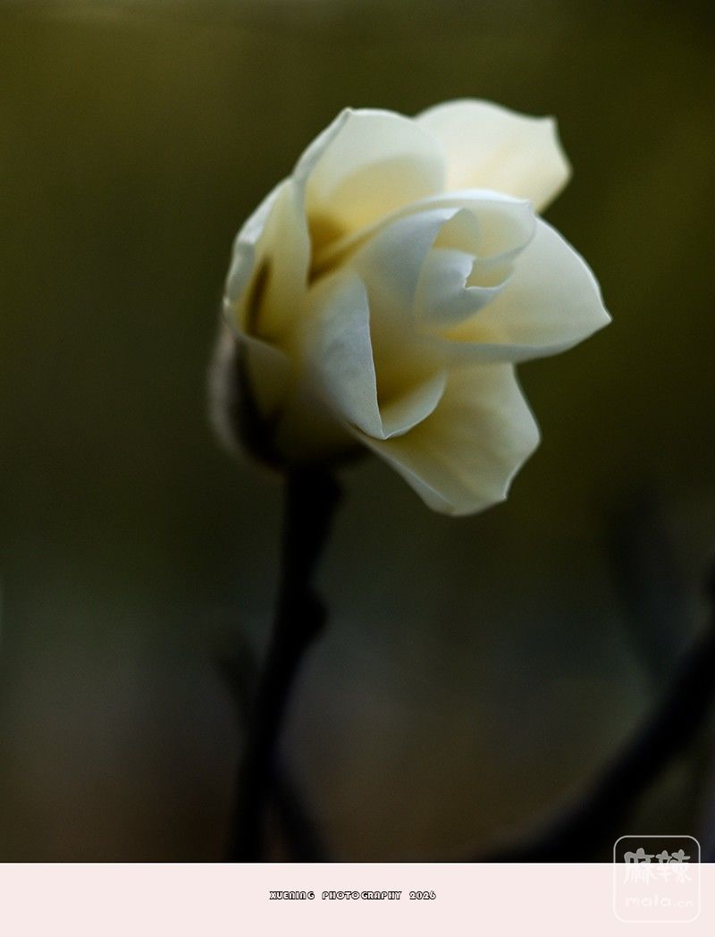 _DSC3987 ����.jpg