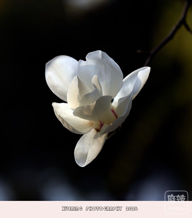 _DSC4034 ����.jpg