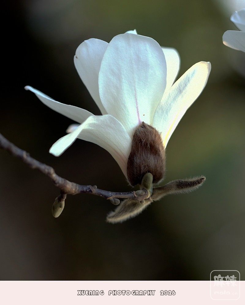 _DSC4001 ����.jpg