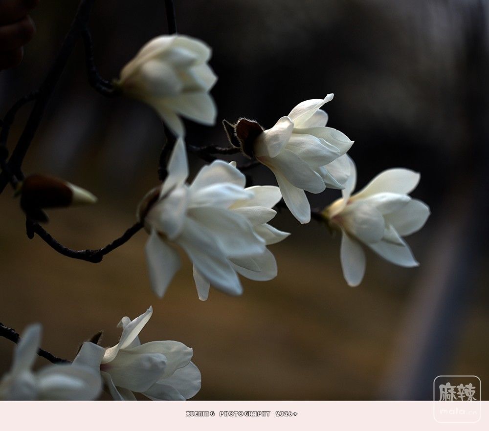 _DSC4104 ����.jpg