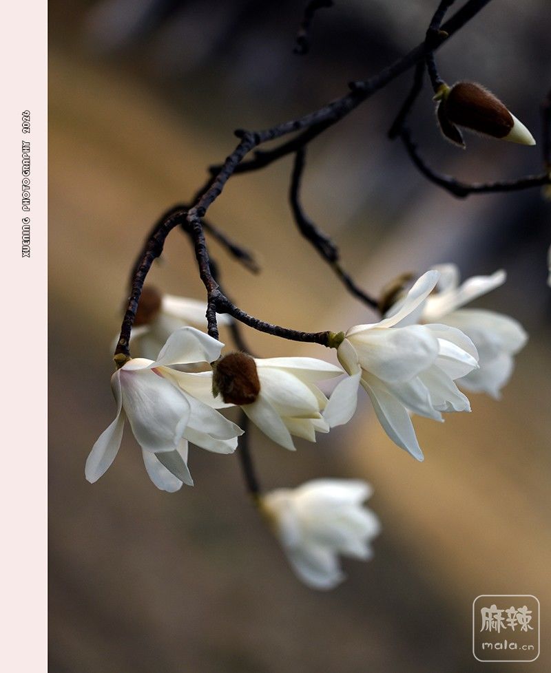 _DSC4092 ����.jpg