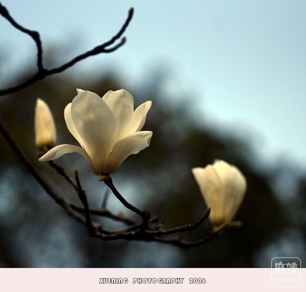 _DSC4112 ����.jpg