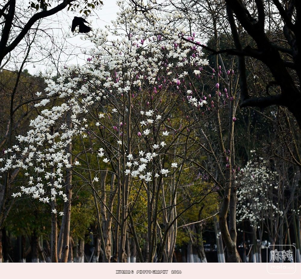 _DSC4125 ����.jpg