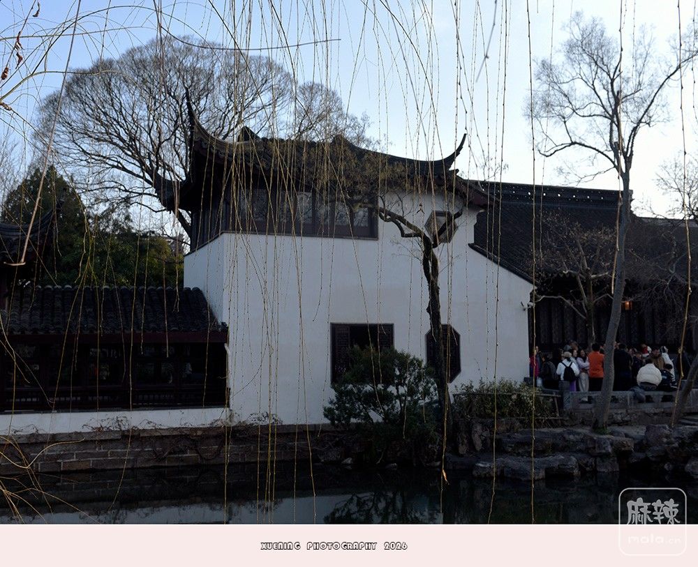 _DSC2465 ����.jpg