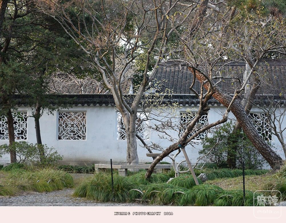 _DSC2513 ����.jpg