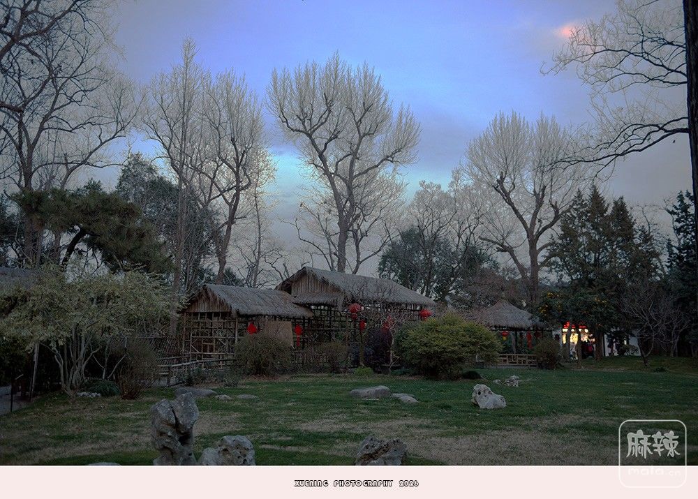 _DSC2592 ����.jpg