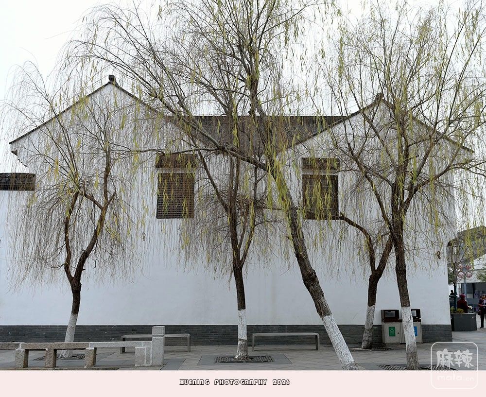 _DSC1761 ����.jpg