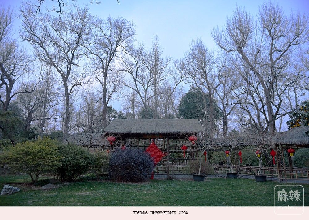 _DSC2593 ����.jpg