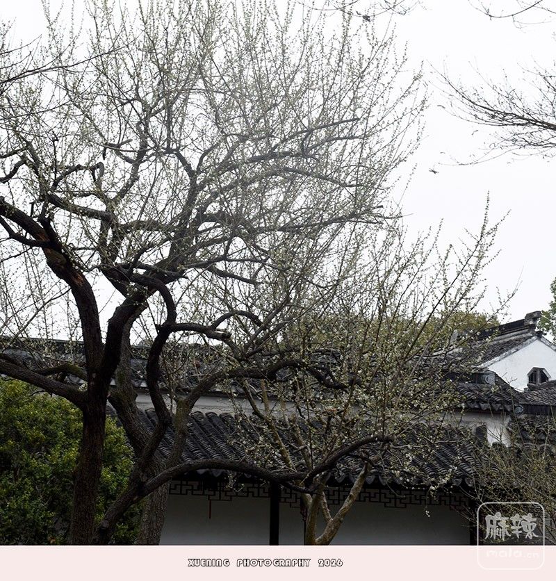 _DSC3165 ����.jpg