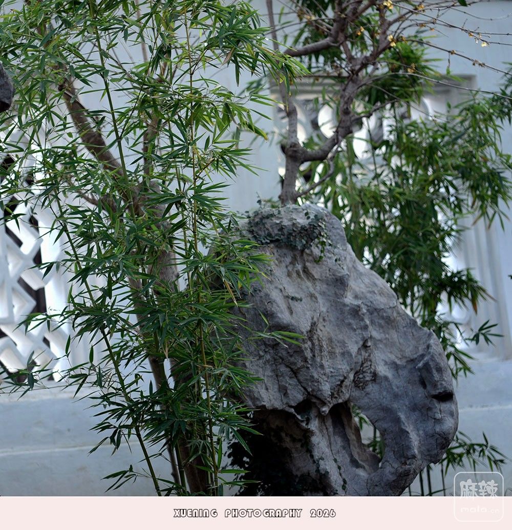 _DSC3442 ����.jpg