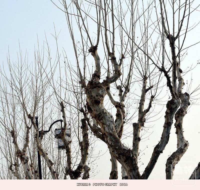 _DSC3509 ����.jpg