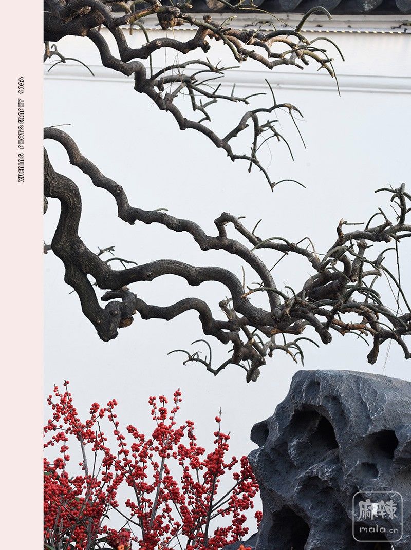 _DSC3475 ����.jpg