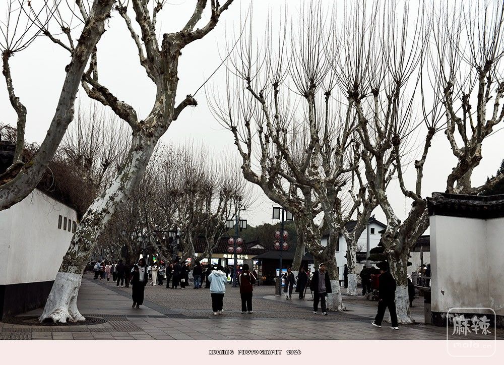 _DSC1755 ����.jpg